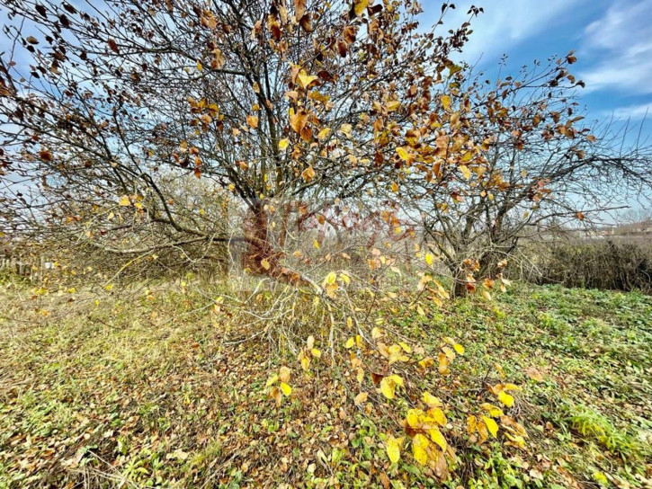 Коттедж/дом 136