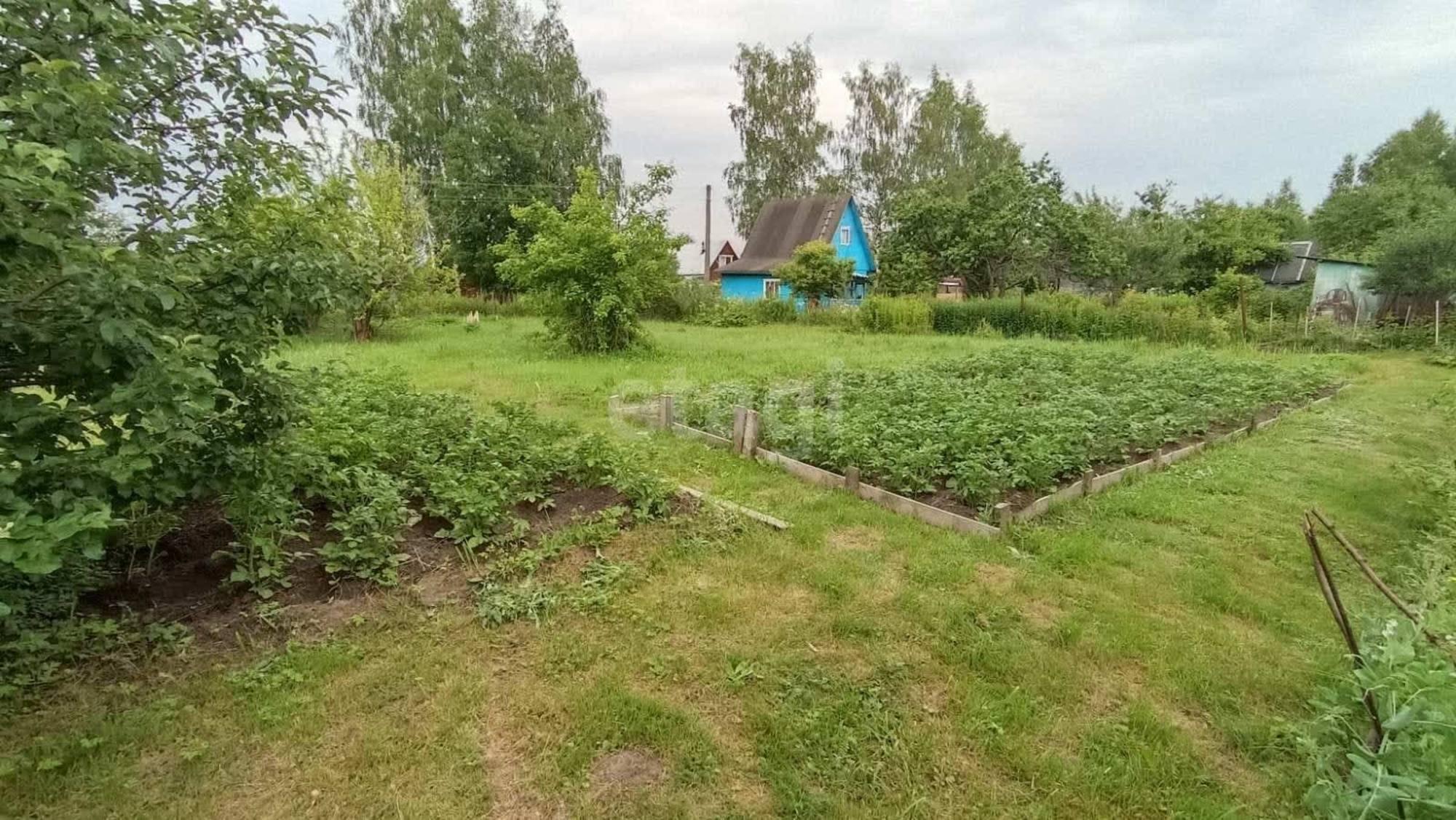 Купить дачу, дом, коттедж за 450 000 рублей на Зоренька СТ