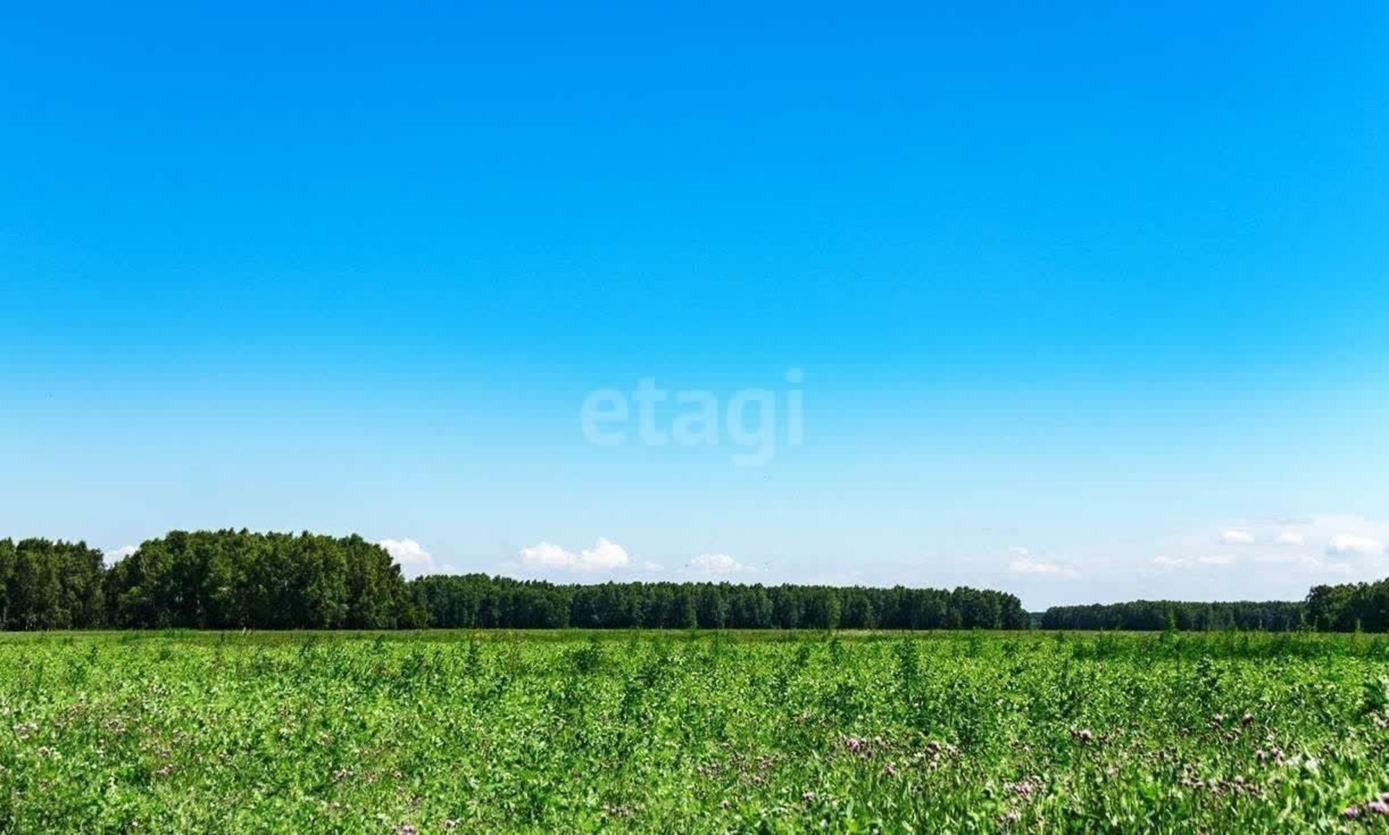 Купить землю, земельный участок за 90 000 рублей на Центральная,