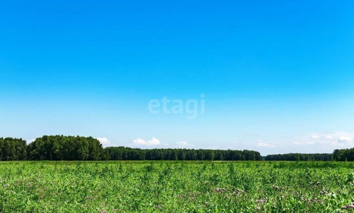 Земельный участок Центральная,