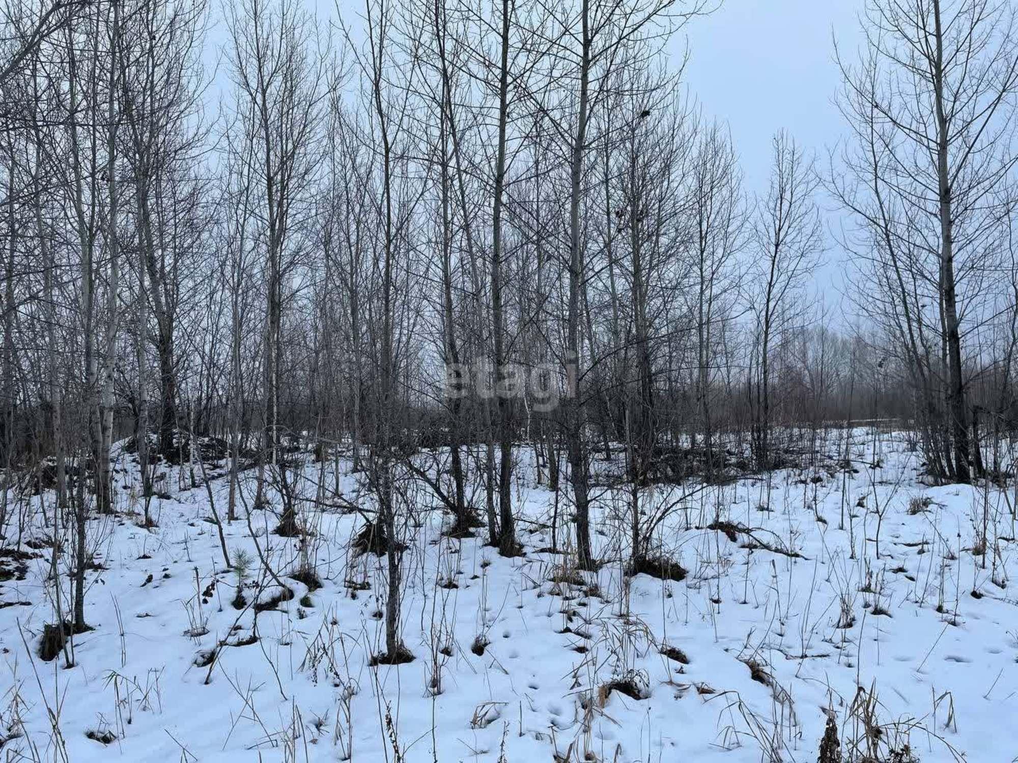 Купить землю, земельный участок за 10 000 000 рублей на село Муллаши