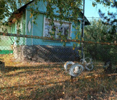 коттедж 21.7 кв м Калинина ул, 7