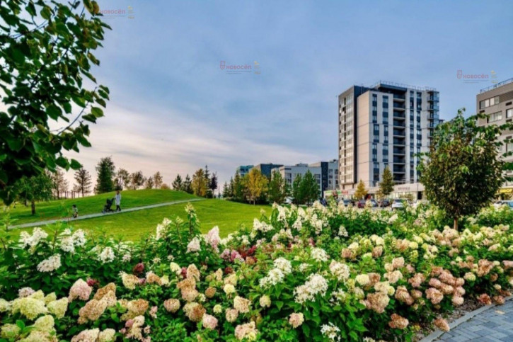 2-комн квартира Золотистый 11