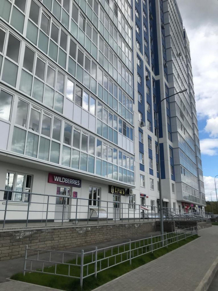 Помещение свободного назначения Бориса Видяева ул, 10