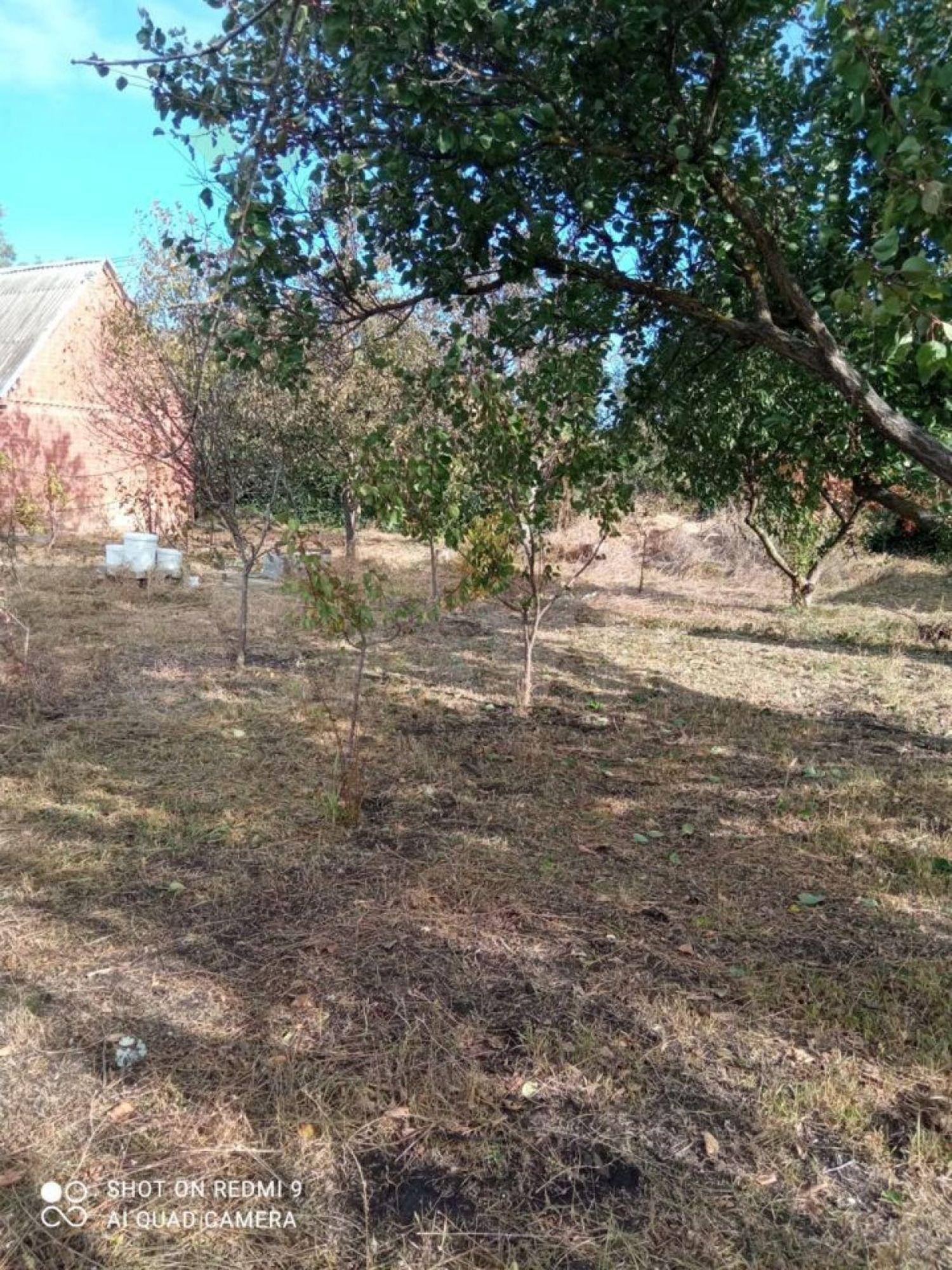 Купить дачу, дом, коттедж за 3 600 000 рублей на Яблоневая ул