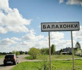 земля 40 сот Балахонки д
