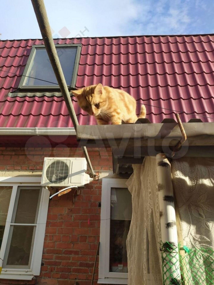Коттедж/дом Северная ул, 466