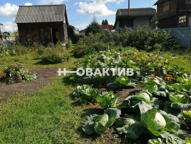 Коттедж/дом Россия, Новосибирский район, Берёзовский сельсовет, садовое некоммерческое товарищество Мелиоратор, 123