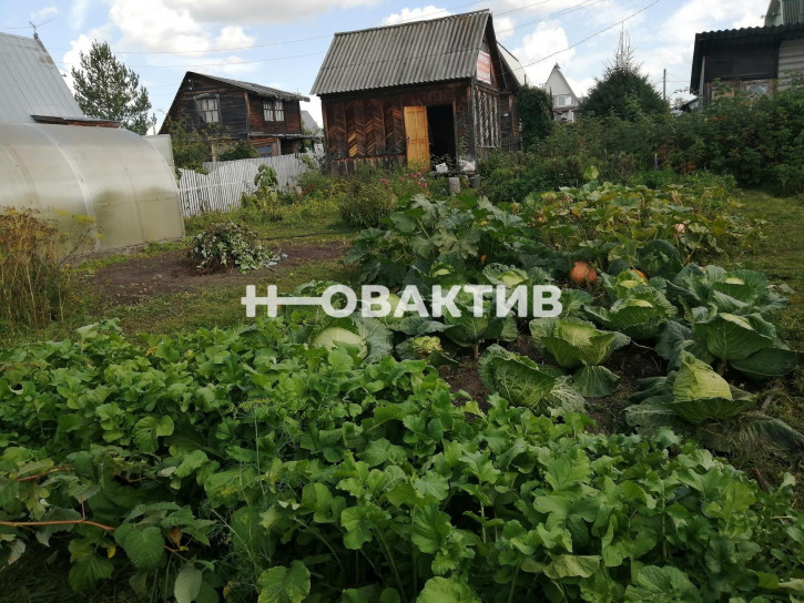 Коттедж/дом Россия, Новосибирский район, Берёзовский сельсовет, садовое некоммерческое товарищество Мелиоратор, 123
