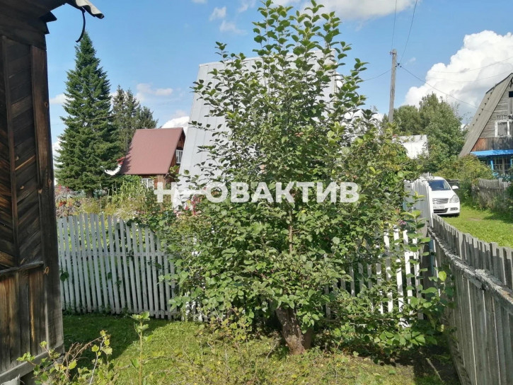 Коттедж/дом Россия, Новосибирский район, Берёзовский сельсовет, садовое некоммерческое товарищество Мелиоратор, 123