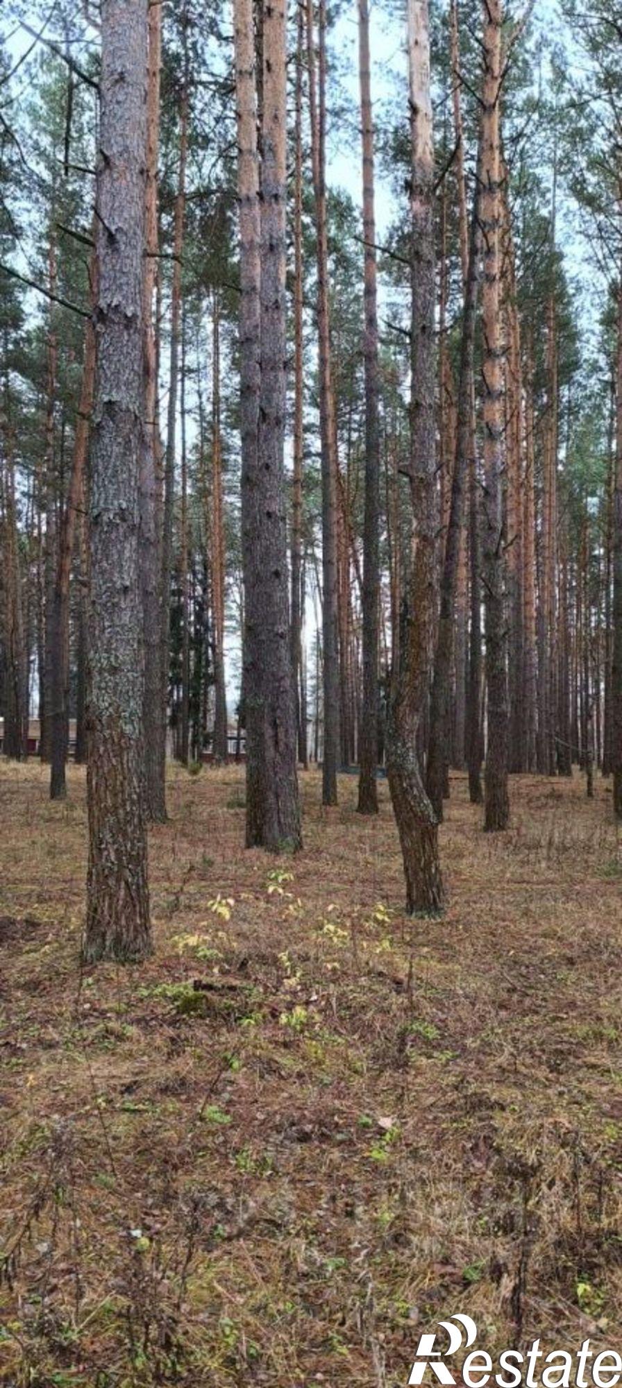 Купить ОСЗ, отдельно стоящее здание за 46 989 500 рублей на Лесная улица, 1А