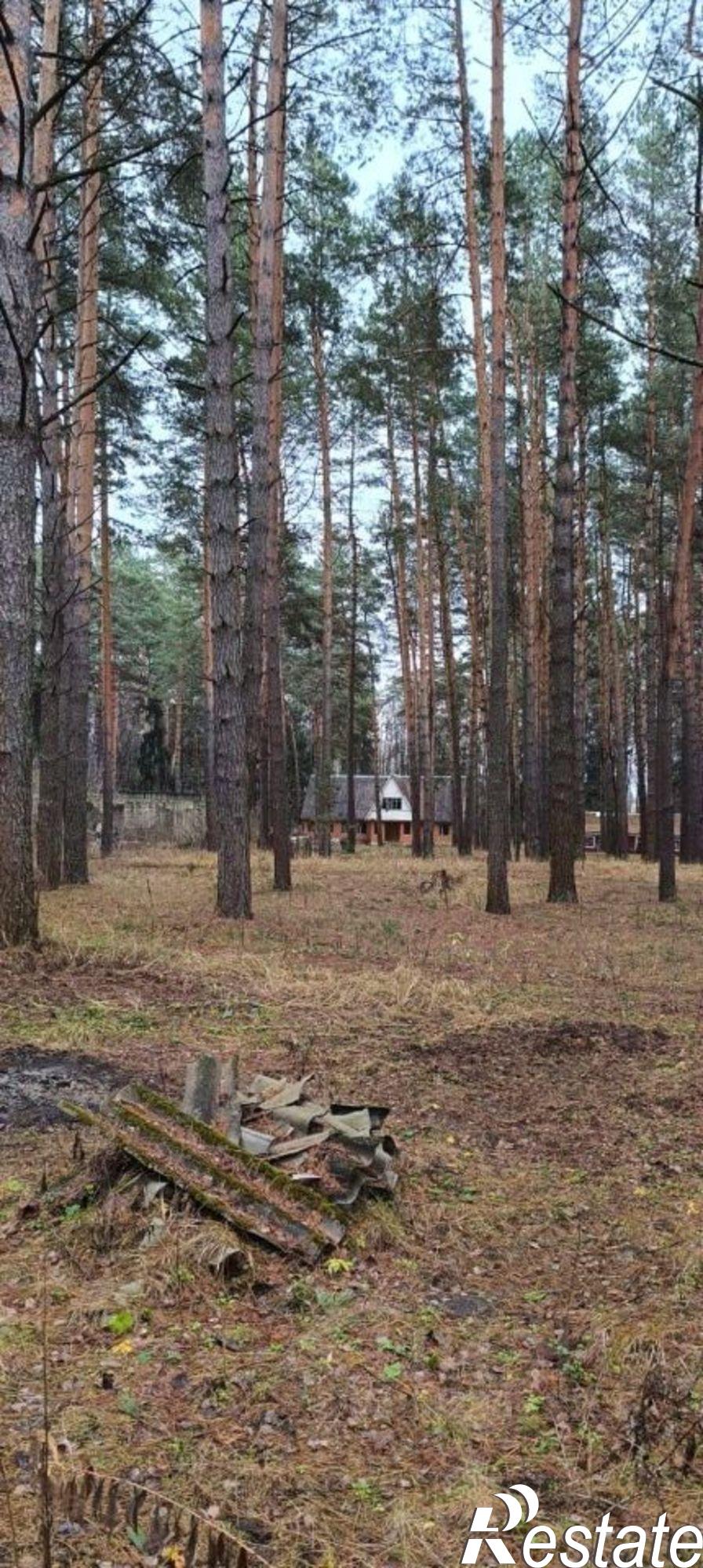 Купить ОСЗ, отдельно стоящее здание за 46 989 500 рублей на Лесная улица, 1А