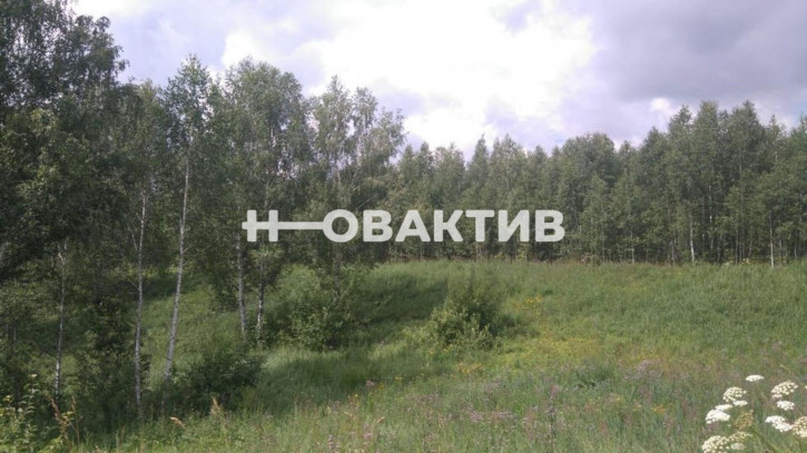 Земельный участок Россия, Новолуговской сельсовет, СНТ Луговое, 122