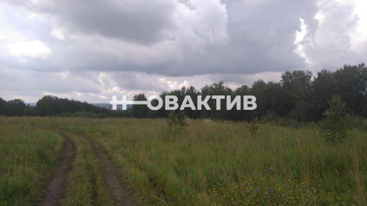 Земельный участок Россия, Новолуговской сельсовет, СНТ Луговое, 122