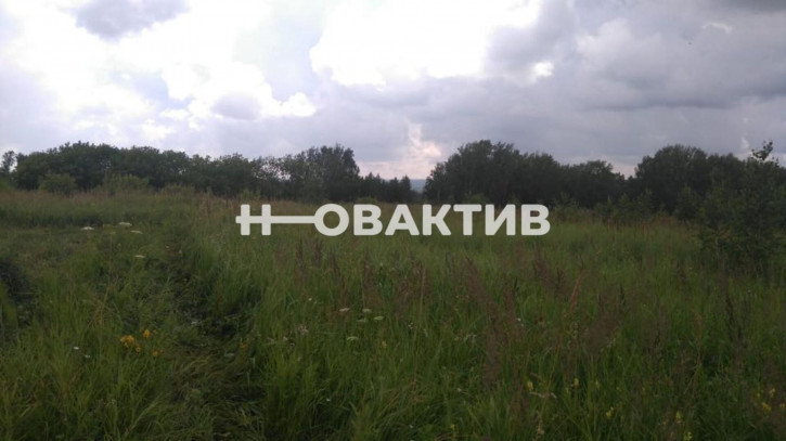 Земельный участок Россия, Новолуговской сельсовет, СНТ Луговое, 122