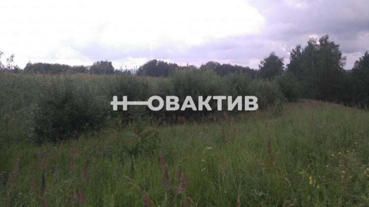 Земельный участок Россия, Новолуговской сельсовет, СНТ Луговое, 122
