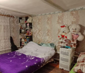 коттедж 33 кв м Пушкина, 4