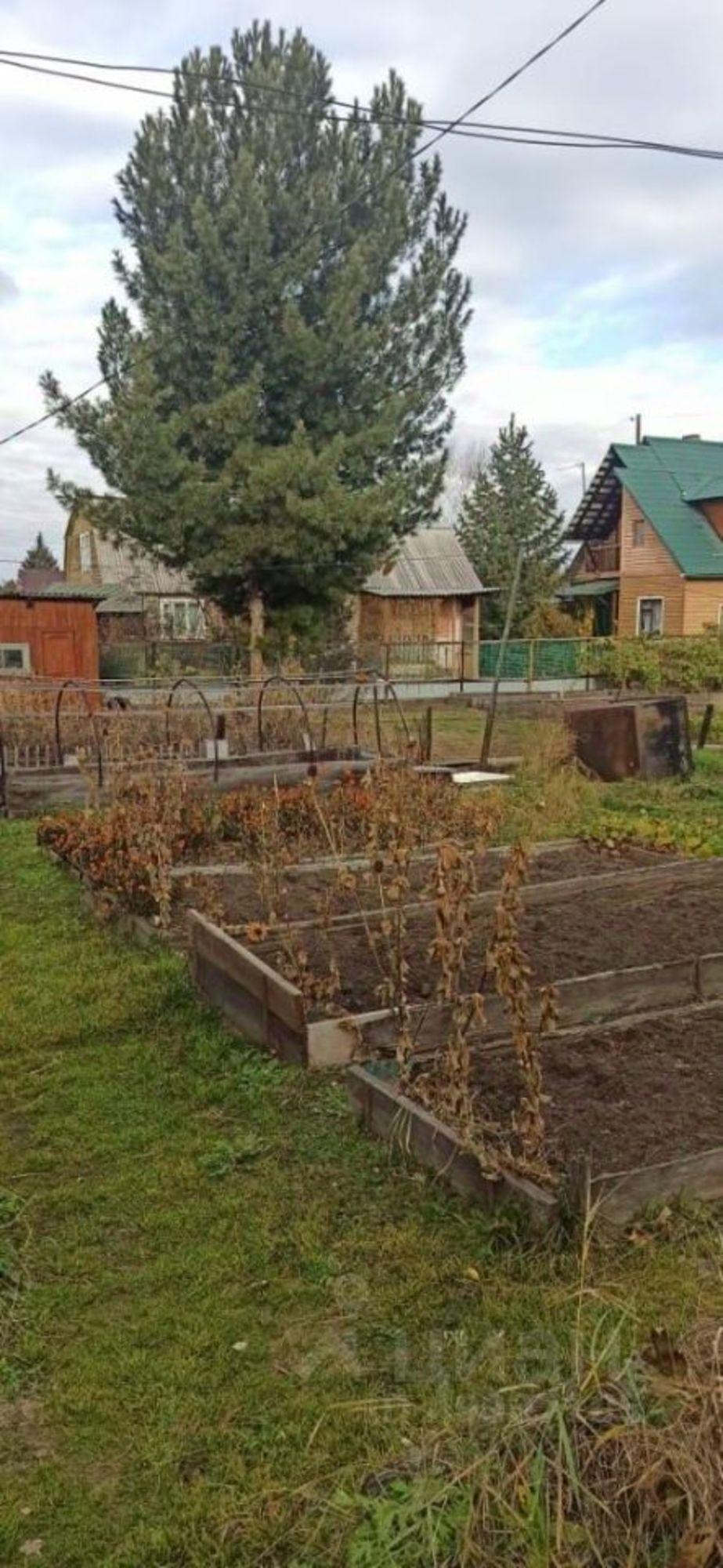 Купить землю, земельный участок за 1 450 000 рублей на Летняя улица