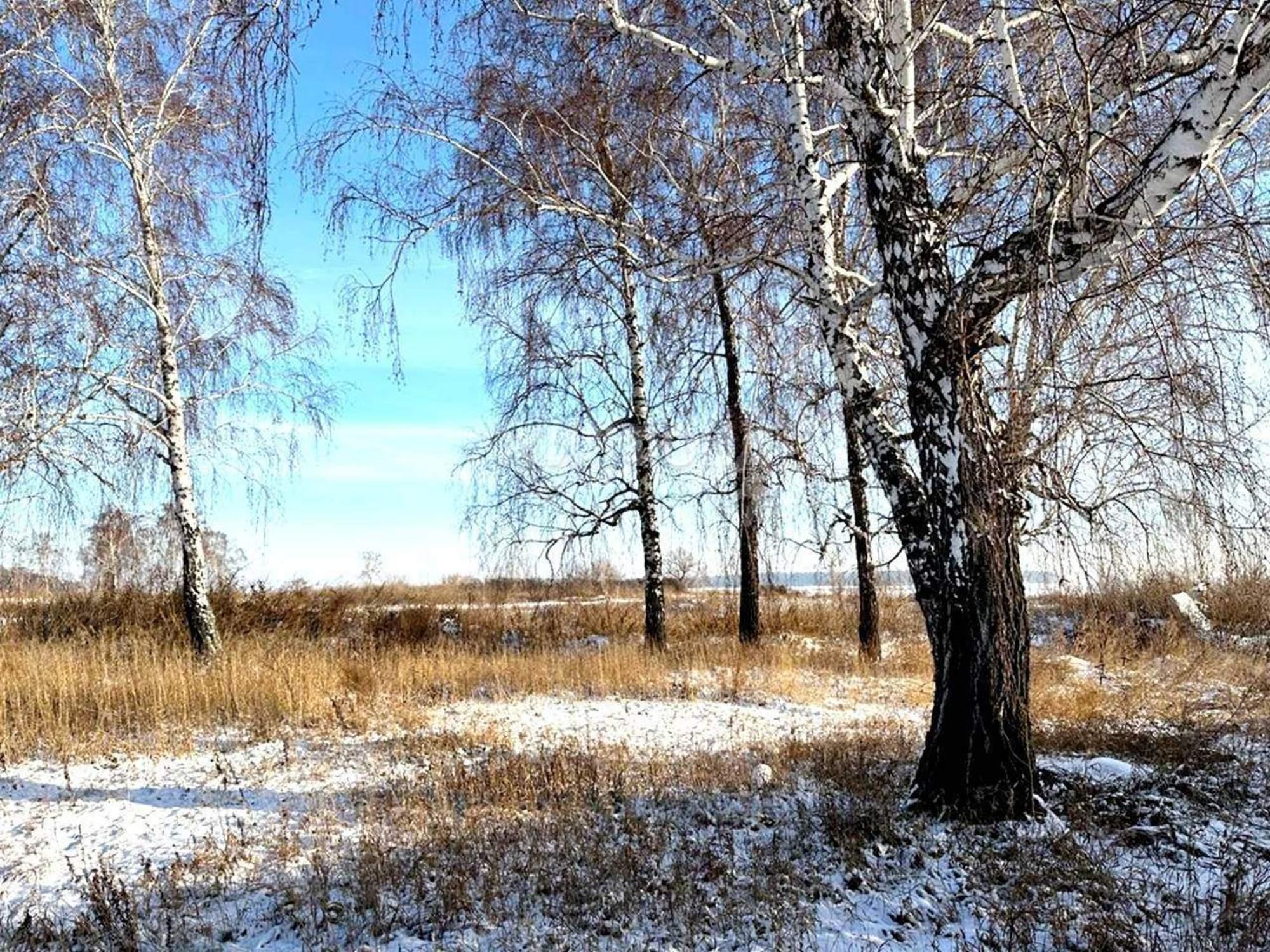 Купить землю, земельный участок за 5 000 000 рублей на село Боровое
