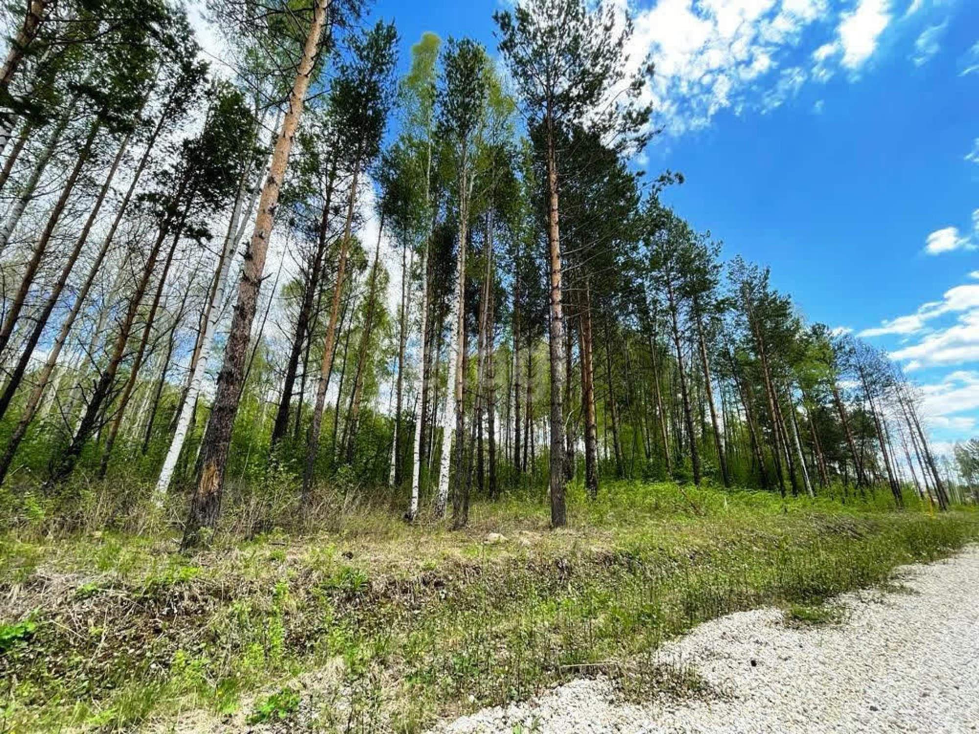 Купить землю, земельный участок за 1 800 000 рублей на КП Алексеевка, 1073
