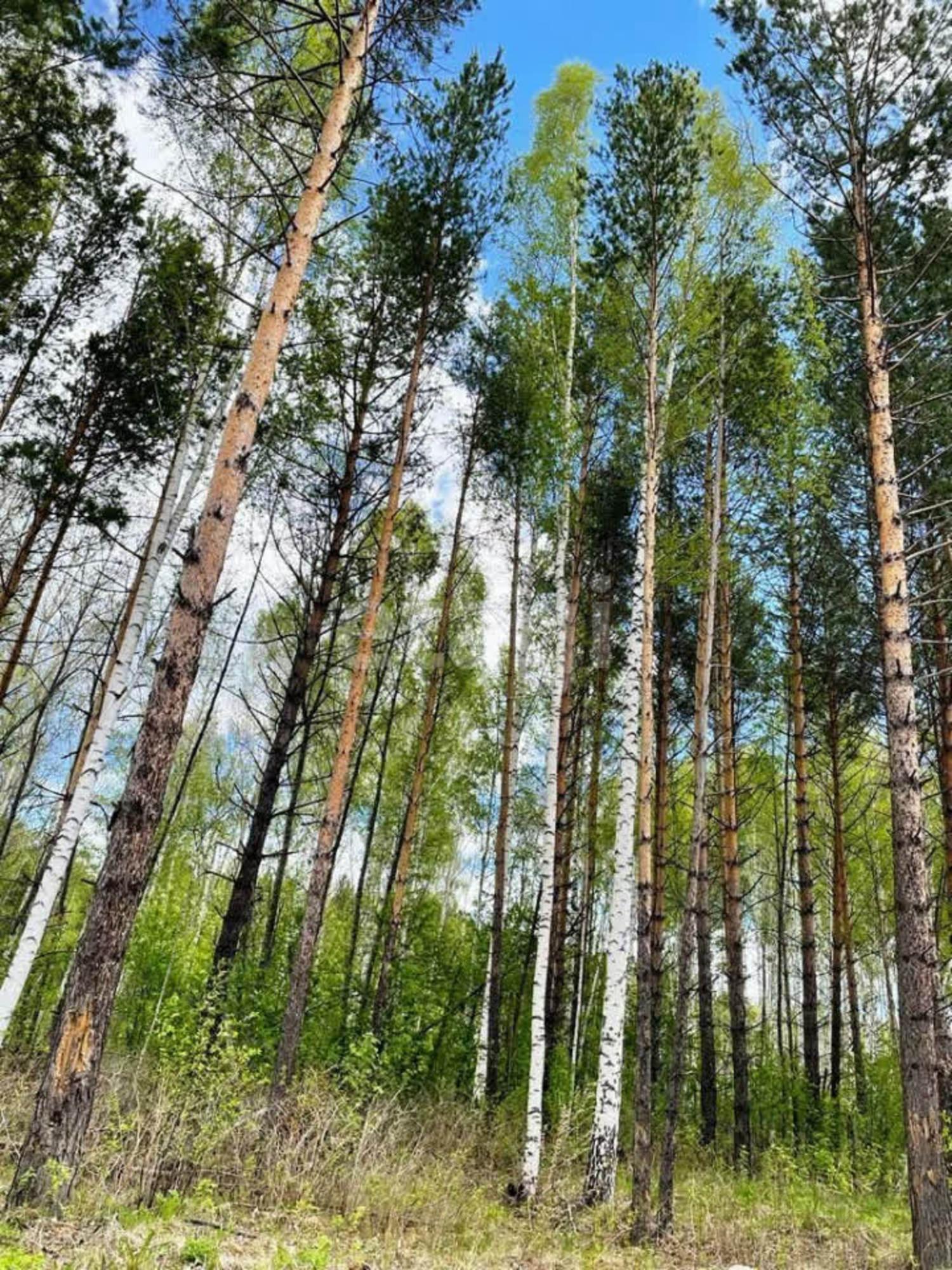 Купить землю, земельный участок за 1 800 000 рублей на КП Алексеевка, 1073