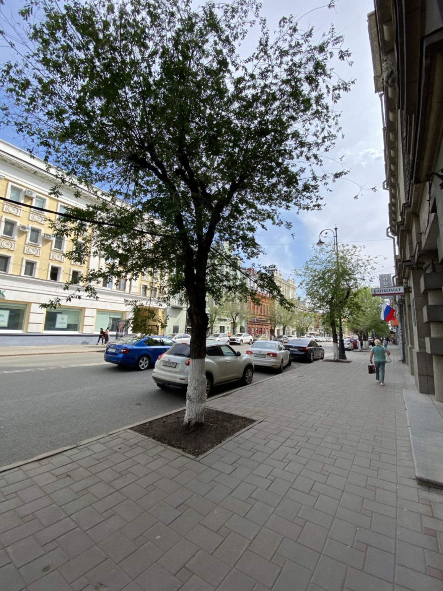 Сдать офис, помещение под офис за 45 000 рублей на ул Куйбышева, 90