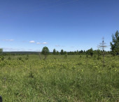 земля 1710 сот Пермская улица