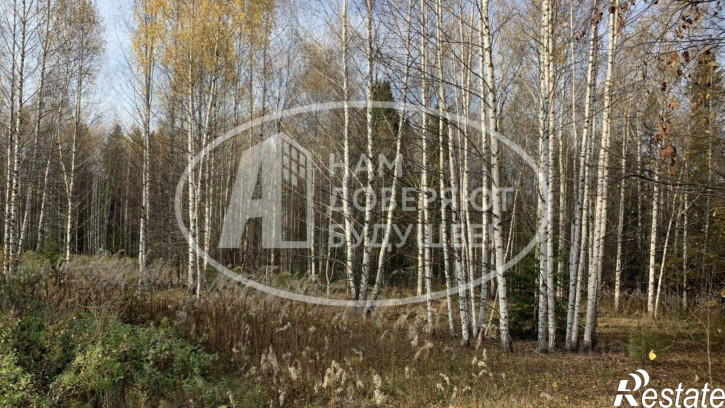Земельный участок улица Михаила Рябова