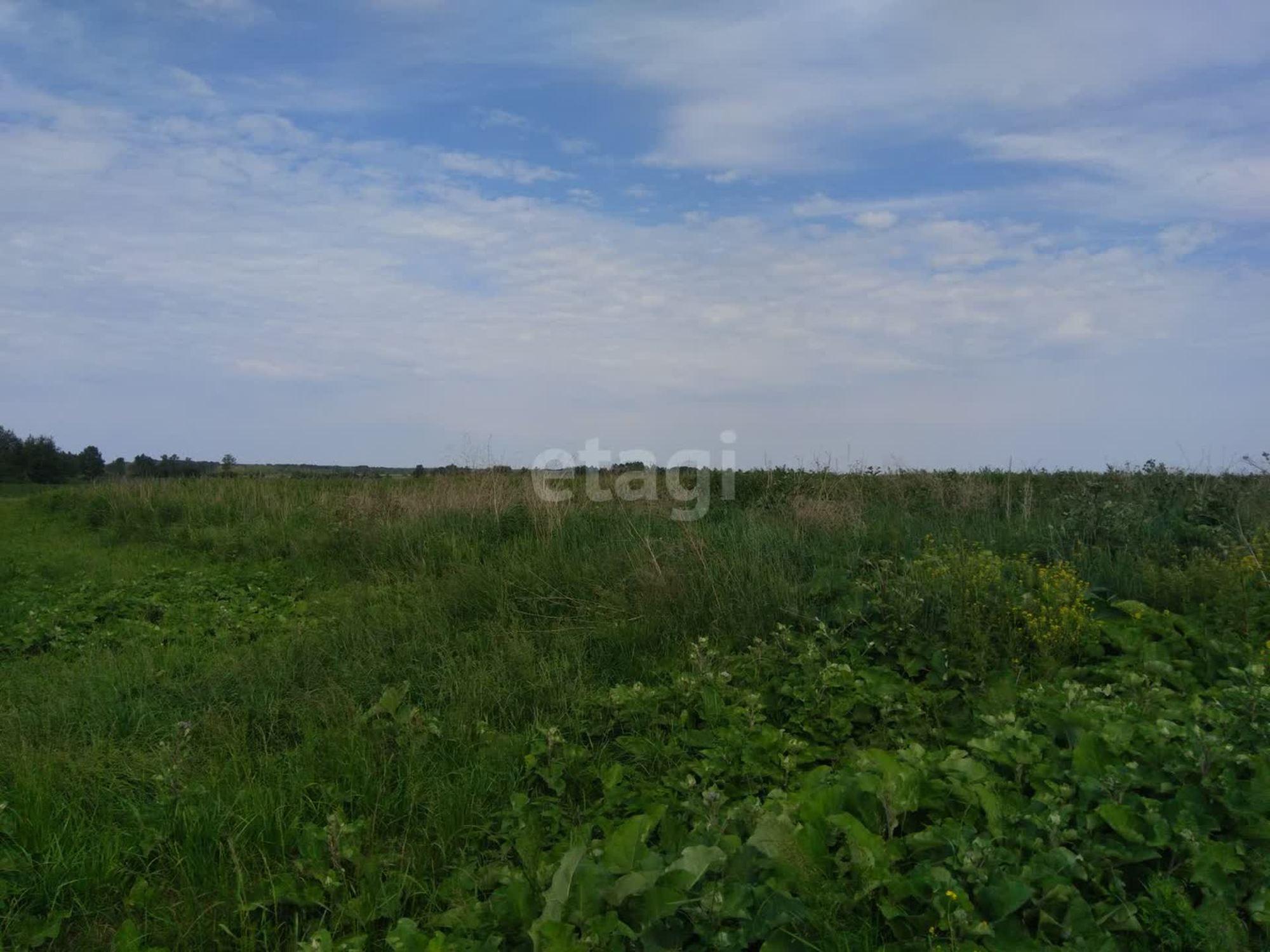 Купить землю, земельный участок за 3 150 000 рублей на село Салаирка