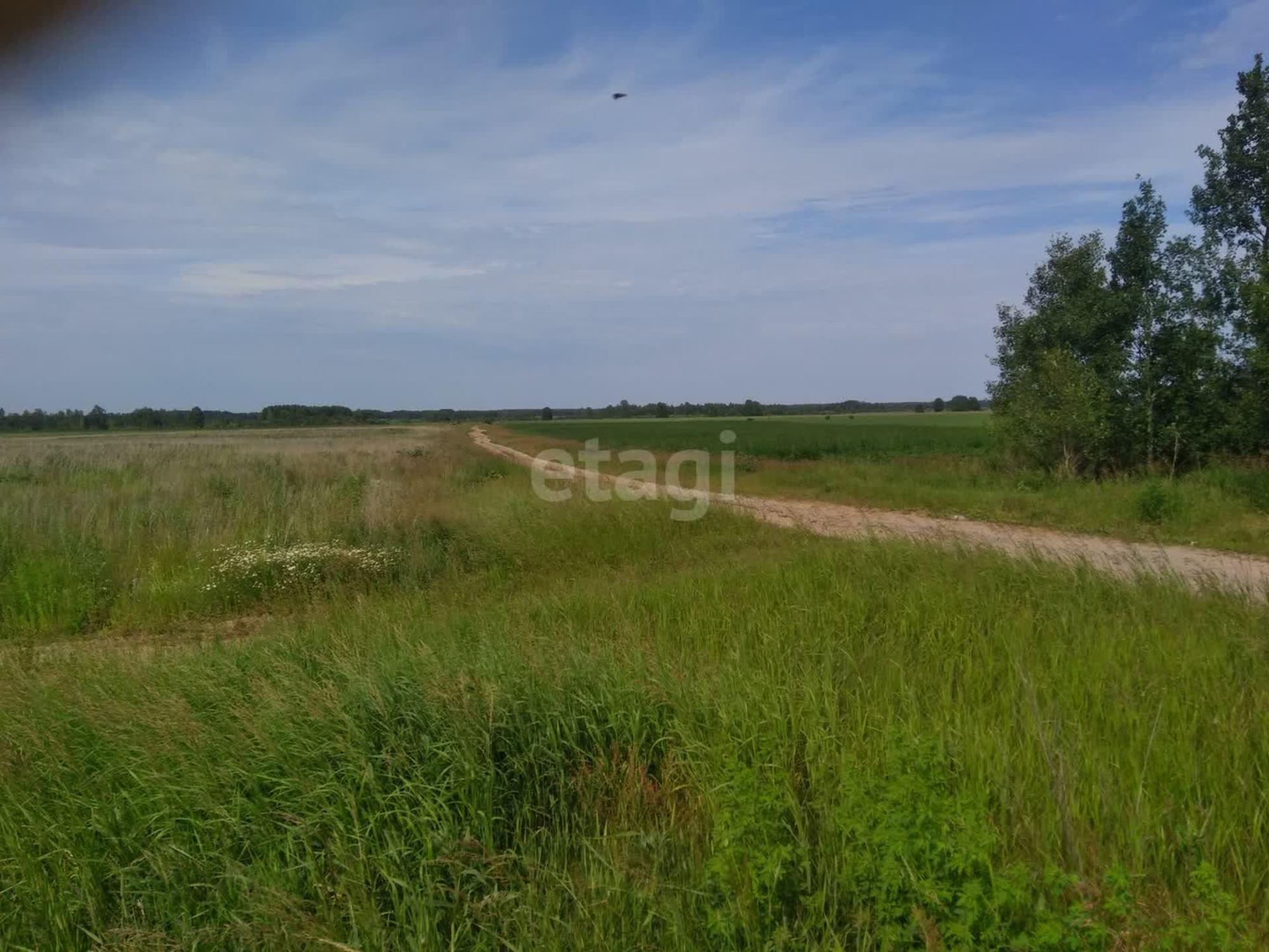Купить землю, земельный участок за 3 150 000 рублей на село Салаирка