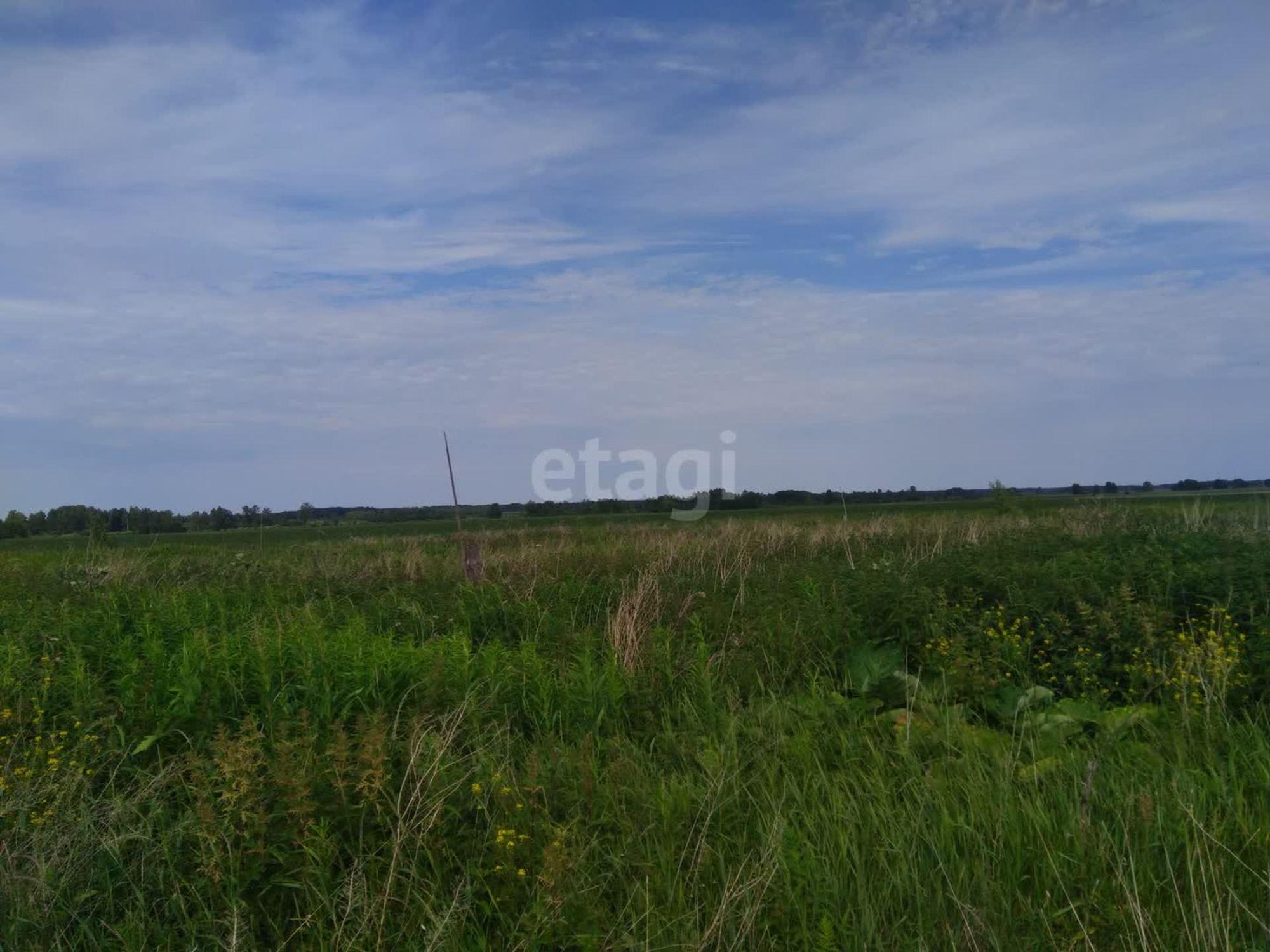 Купить землю, земельный участок за 3 150 000 рублей на село Салаирка