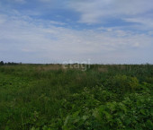 земля 547.64 сот село Салаирка