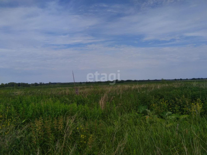 Земельный участок село Салаирка