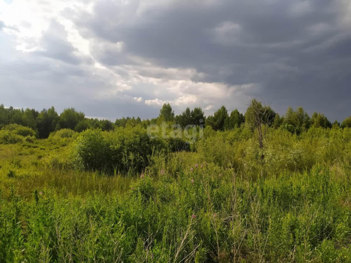 Земельный участок Гагарка, 11