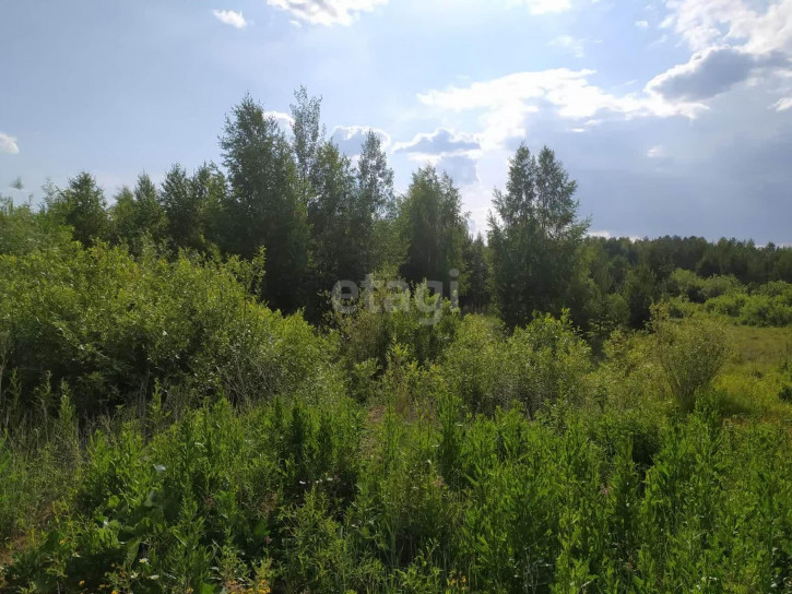 Земельный участок Гагарка, 11