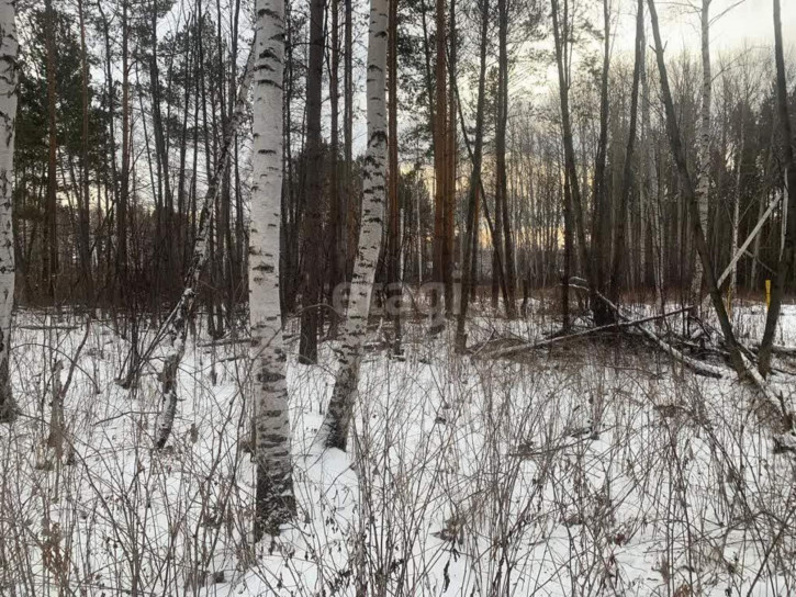 Земельный участок КП Алексеевка, 1072