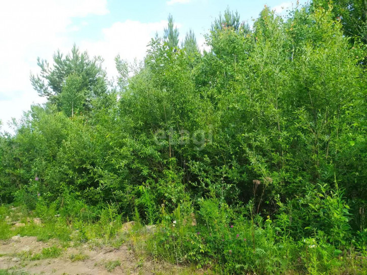 Земельный участок Гагарка, 2