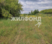 земля 8 сот Крестьянская улица