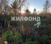 земля 25 сот Новая улица