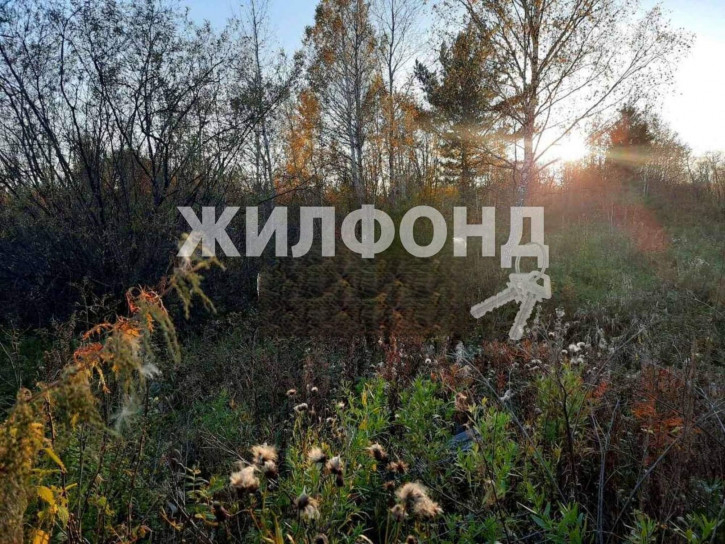 Земельный участок Новая улица