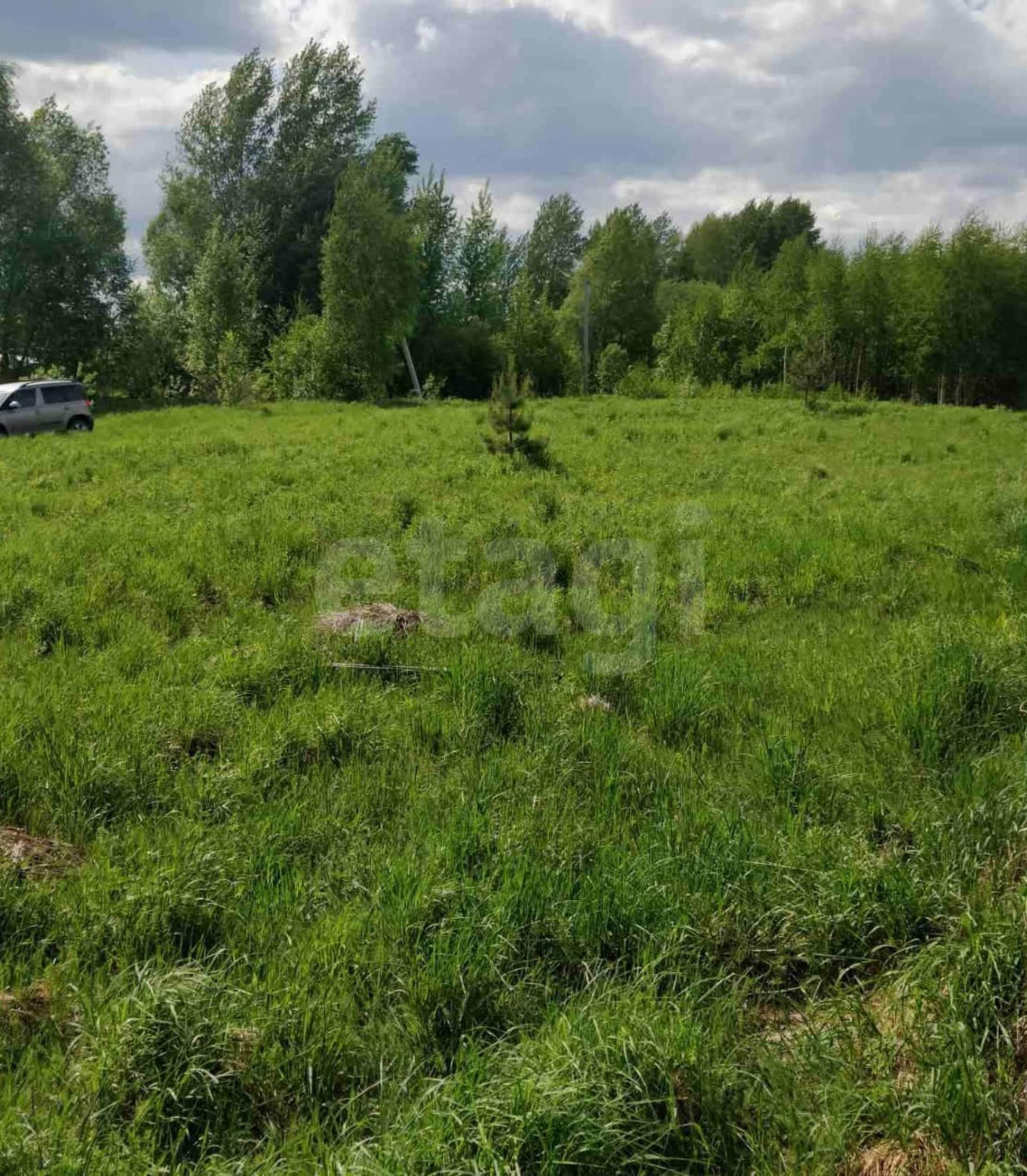 Купить землю, земельный участок за 300 000 рублей на деревня Евлашево, 36