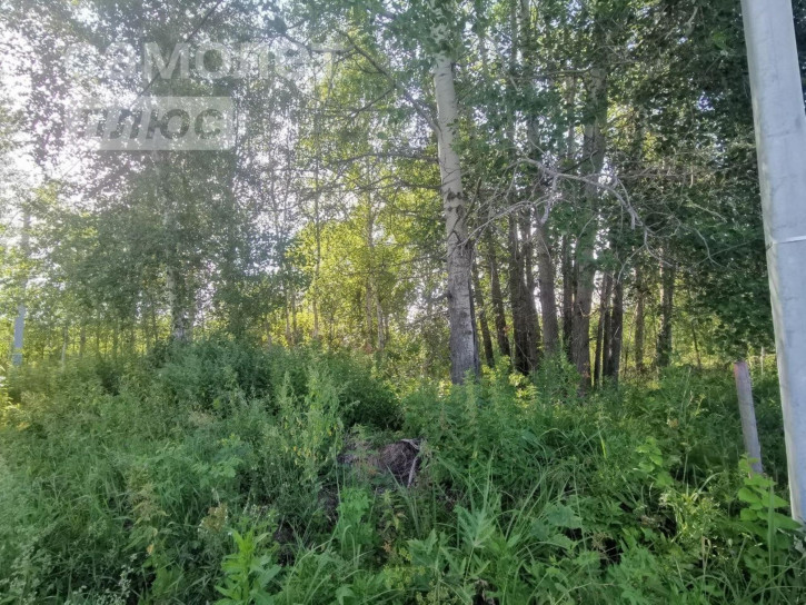 Земельный участок Тюменский район,  дачный поселок Ежевика