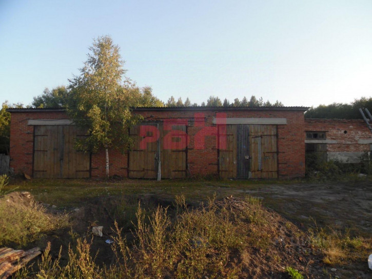 Производственное помещение Лунинский район, Иванырсинский лесозавод п., Лесная ул., д.1