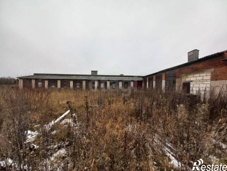 Склад Белозерский муниципальный округ, деревня Глушково, 3