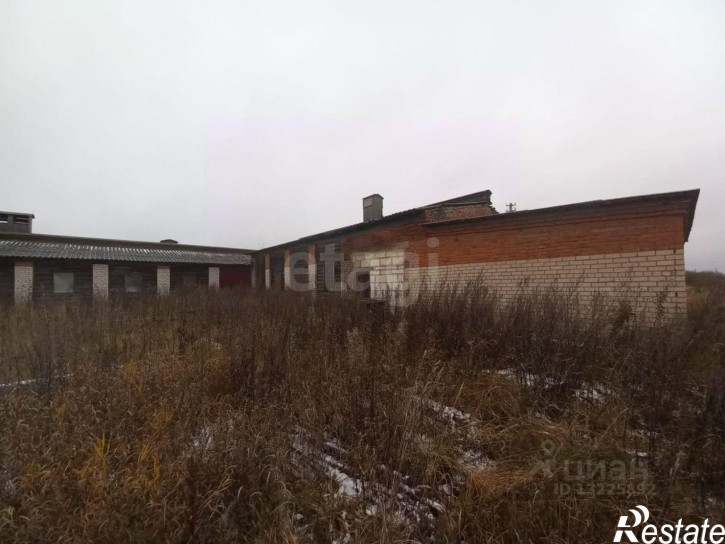 Склад Белозерский муниципальный округ, деревня Глушково, 3
