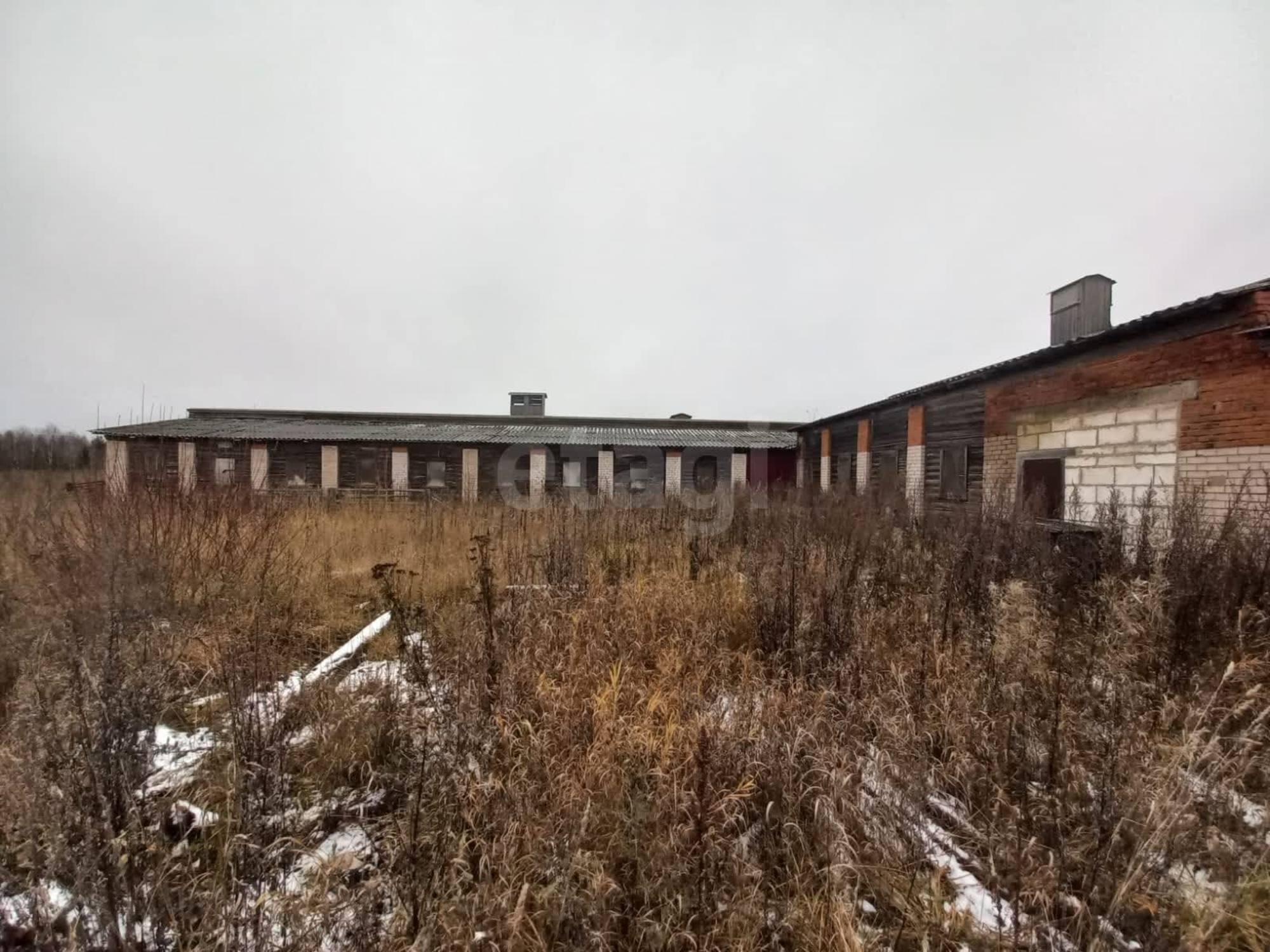 Купить производственную площадь за 1 600 000 рублей на деревня Глушково, 3