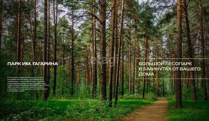 1-комн квартира Тимофея Чаркова, 91