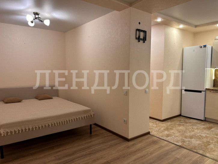 Студия улица Венеры, 24к8