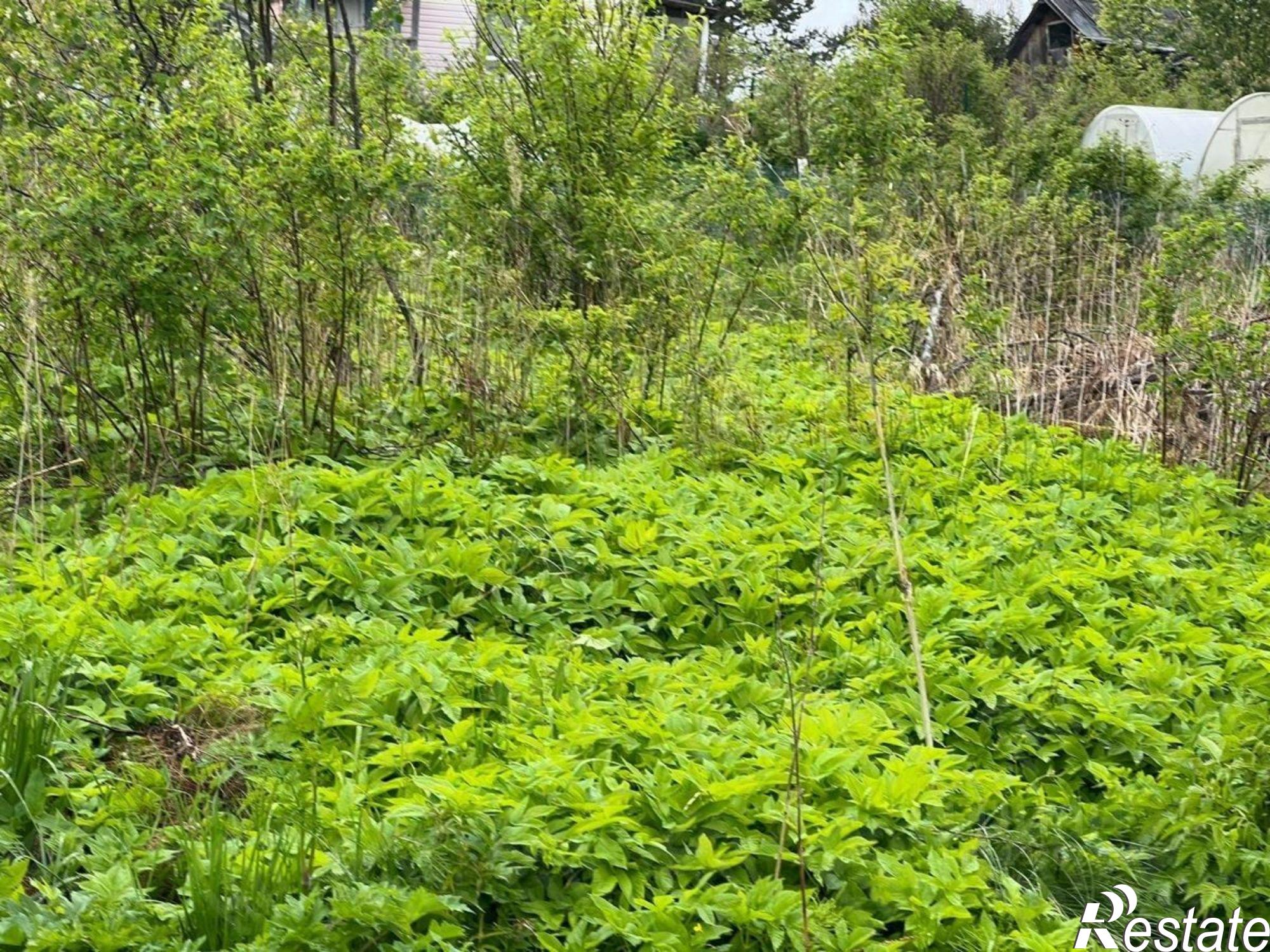 Купить землю, земельный участок за 500 000 рублей на Кудемское