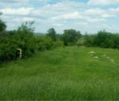 земля 15 сот Трунова